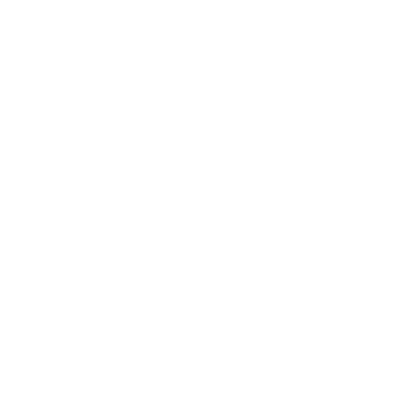 satori logo
